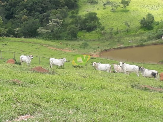 fazenda-venda-itaguara-mg-441933