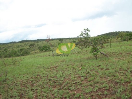 fazenda-venda-brasilandia-de-minas-mg-442000