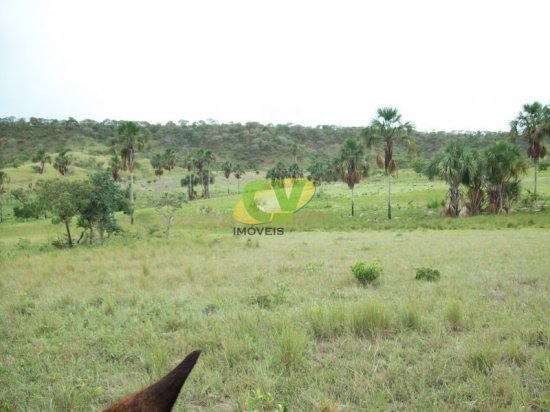 fazenda-venda-brasilandia-de-minas-mg-442001