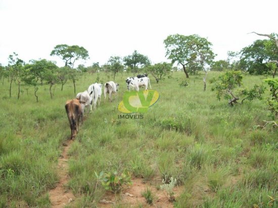 fazenda-venda-brasilandia-de-minas-mg-442002