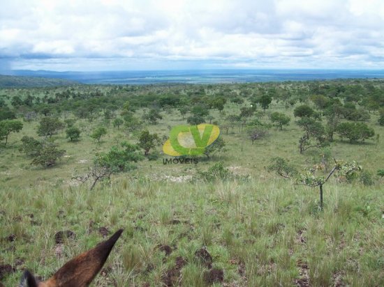 fazenda-venda-brasilandia-de-minas-mg-442003