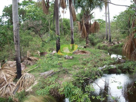 fazenda-venda-brasilandia-de-minas-mg-442007