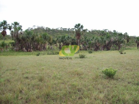 fazenda-venda-brasilandia-de-minas-mg-442009