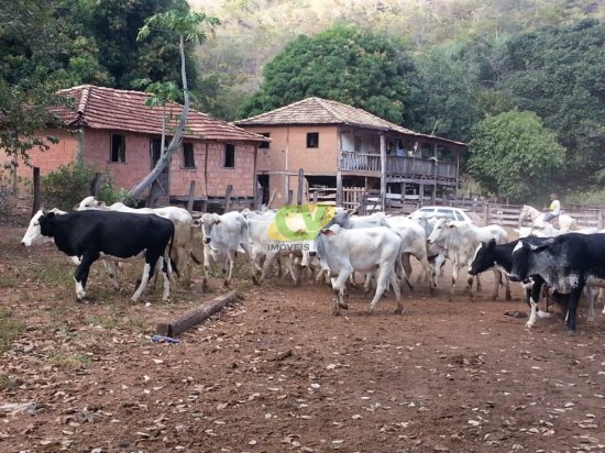 fazenda-venda-brasilandia-de-minas-mg-442013