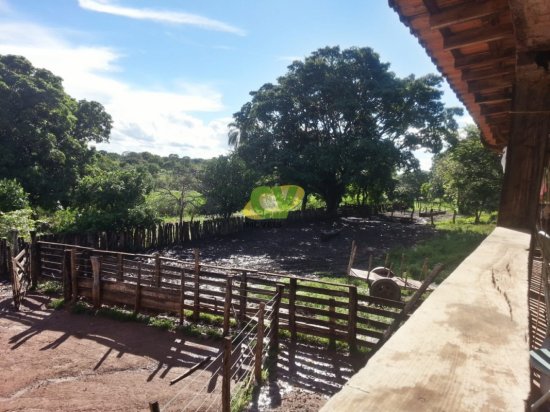 fazenda-venda-brasilandia-de-minas-mg-442015