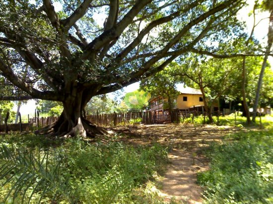 fazenda-venda-brasilandia-de-minas-mg-442017